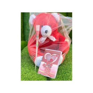 Uni Com Birthday Gift For Her Cute Teddy Bear With A Gift